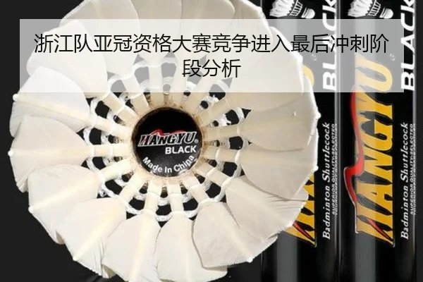 浙江队亚冠资格大赛竞争进入最后冲刺阶段分析